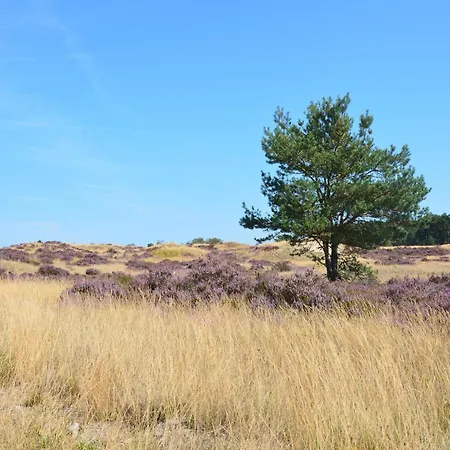 In Near Veluwe, Cleaning Included Feriehus Eerbeek